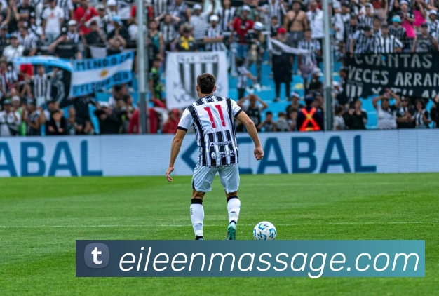 米乐网页版APP 封面图